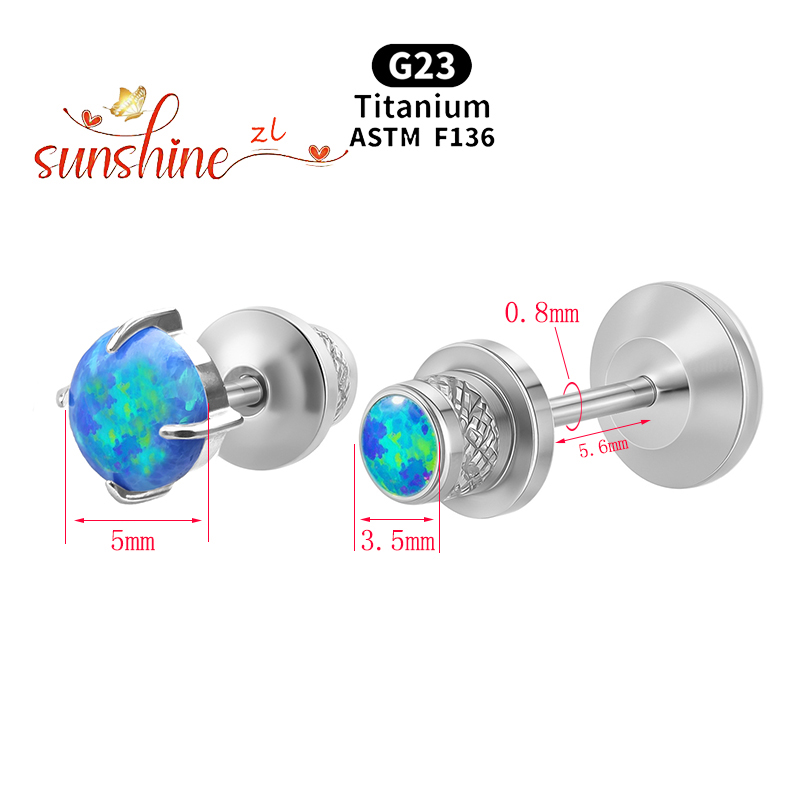2PCS ASTM F136 Titanium Opal M - đánh giá và giá Opal Earrings Dangle