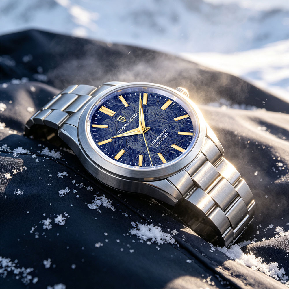 PAGANI DESIGN 40MM Men Quartz  - đánh giá và giá Jewelry And Watches